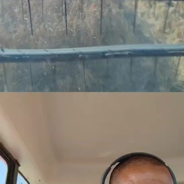 东北长粒香。稻花香。自产自销