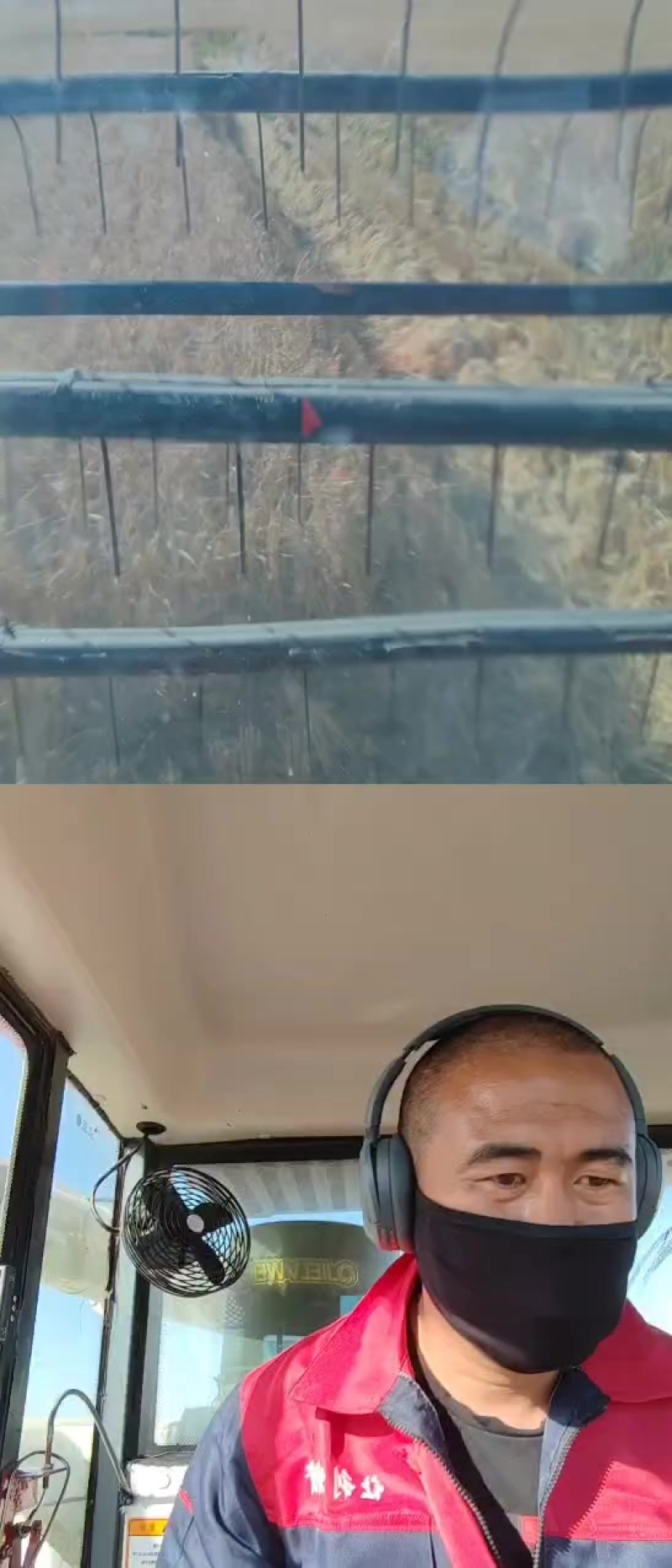 东北长粒香。稻花香。自产自销