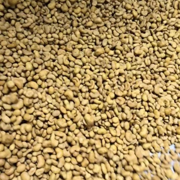 炭烧腰果