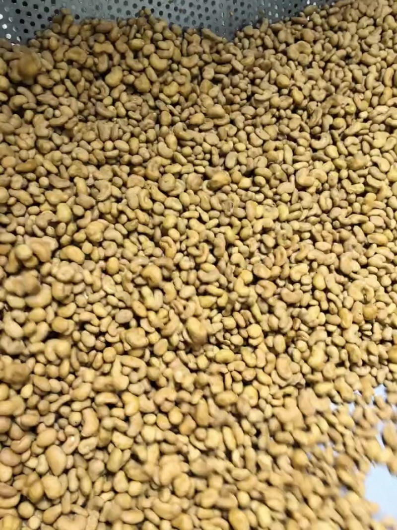 炭烧腰果