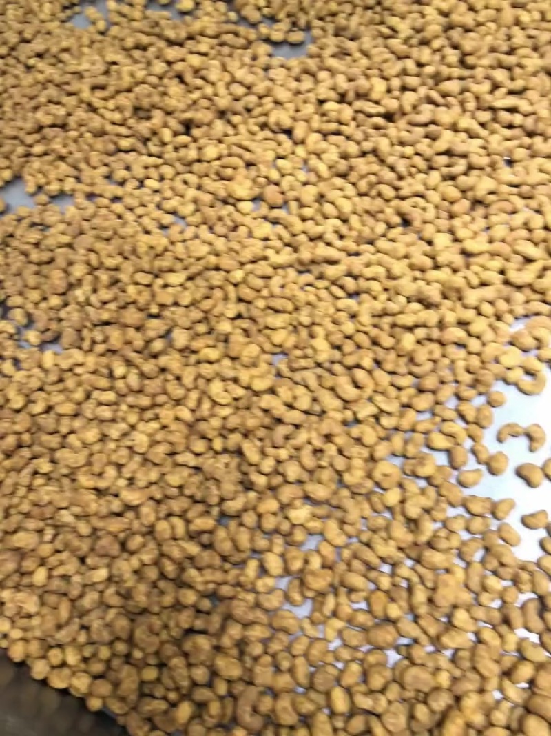 炭烧腰果