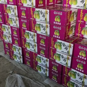 库尔勒香梨