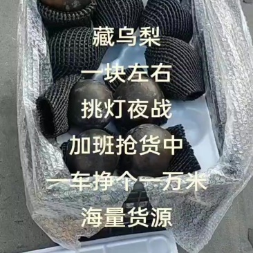 藏乌梨，高山黑梨，价格美丽，大量有货