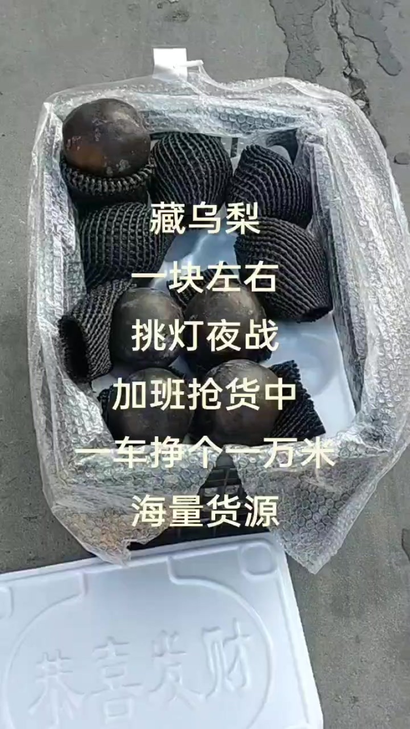 藏乌梨，高山黑梨，价格美丽，大量有货