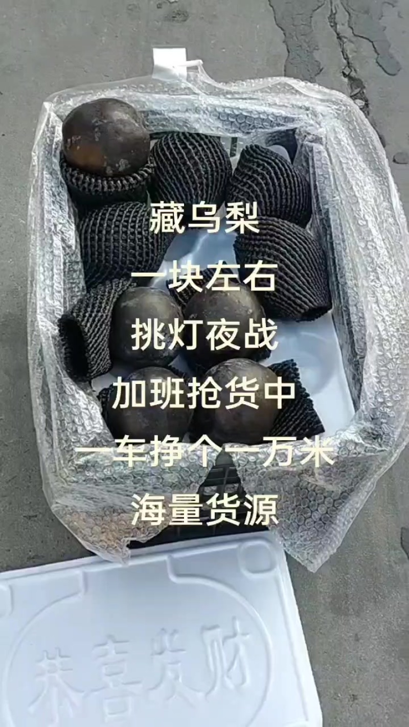 藏乌梨，高山黑梨，价格美丽，大量有货