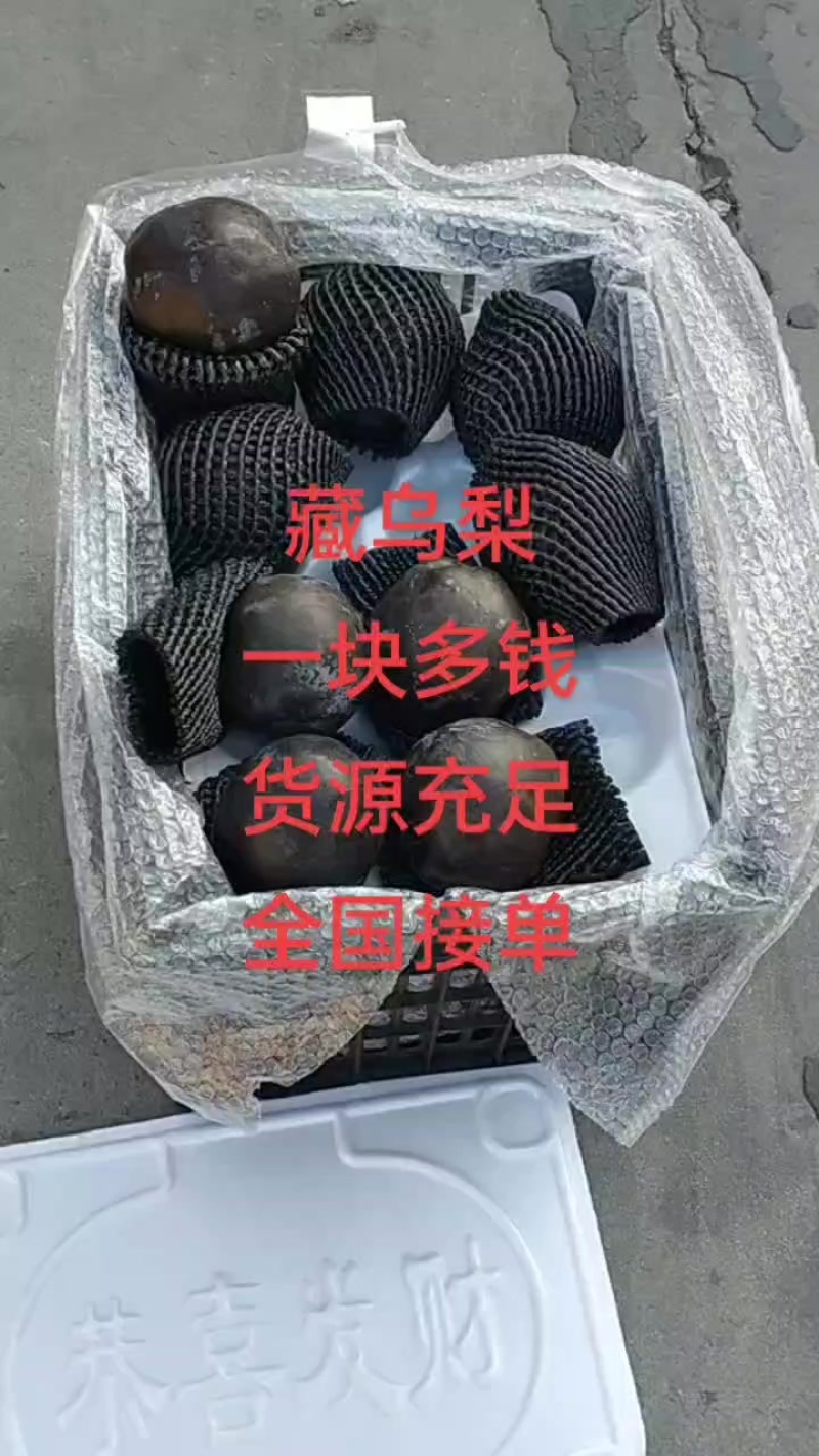 藏乌梨