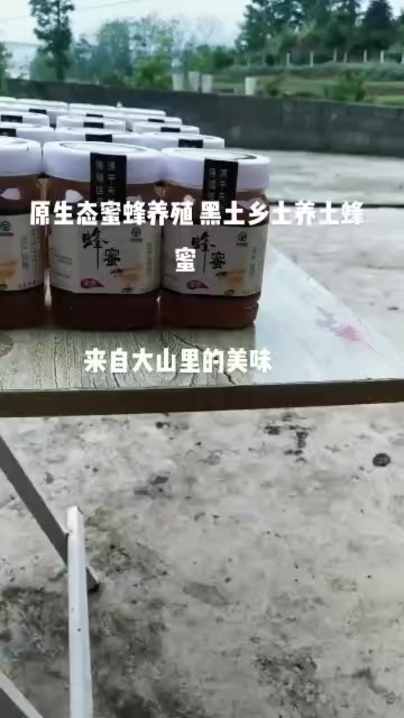 土蜂蜜出售200一斤