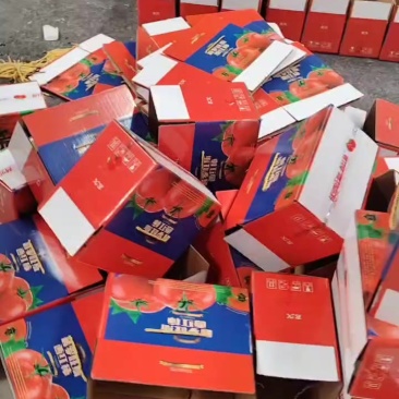 普罗旺斯西红柿