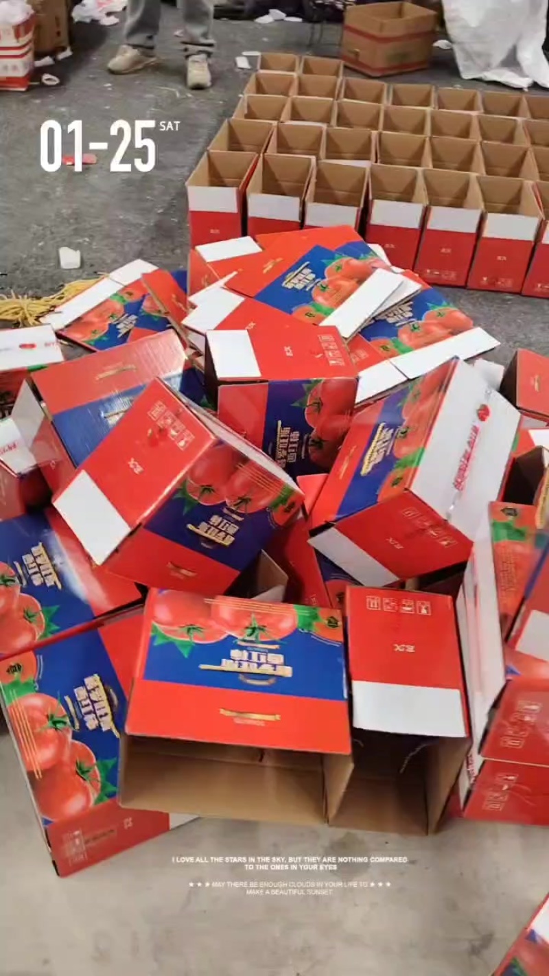 普罗旺斯西红柿