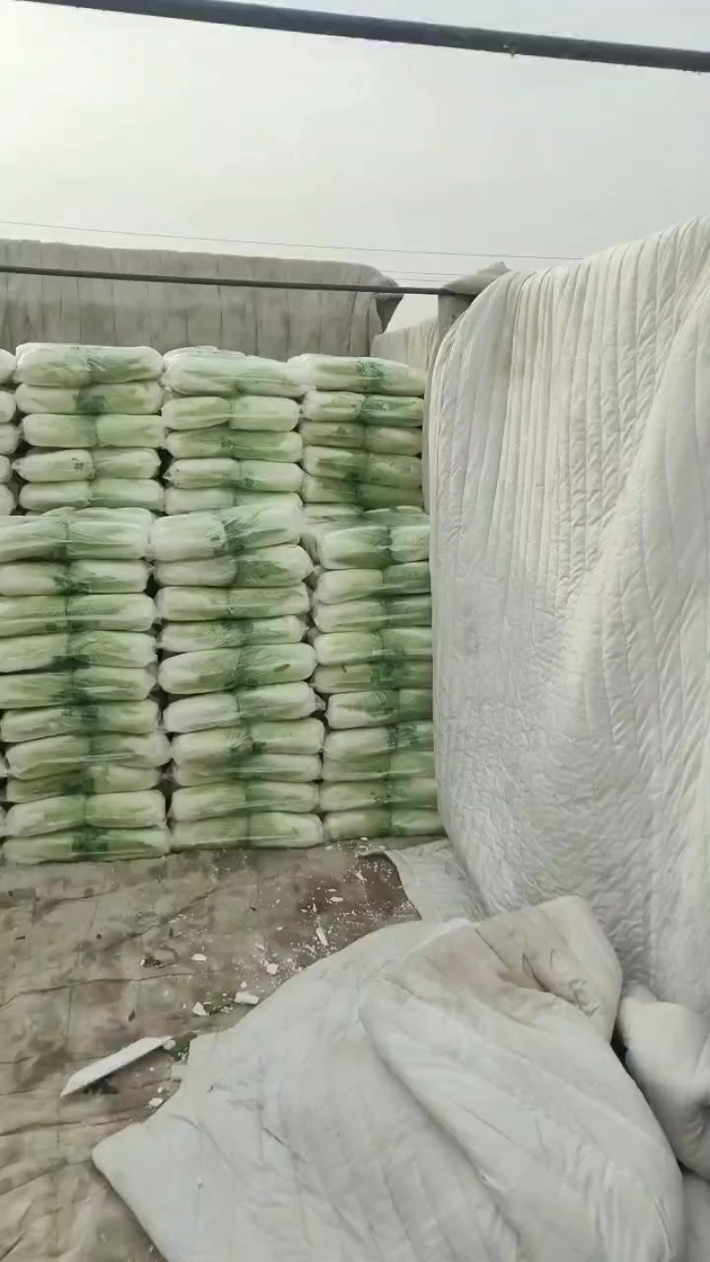 北京三号大白菜保质保量供应中，鲜嫩叶绿心足