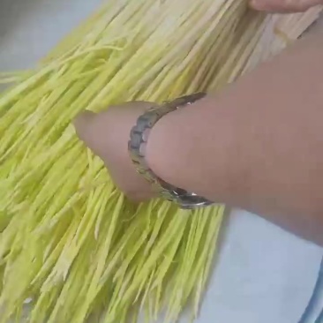蒜黄