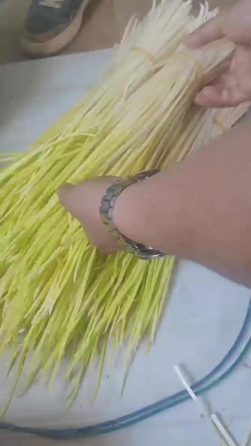 蒜黄