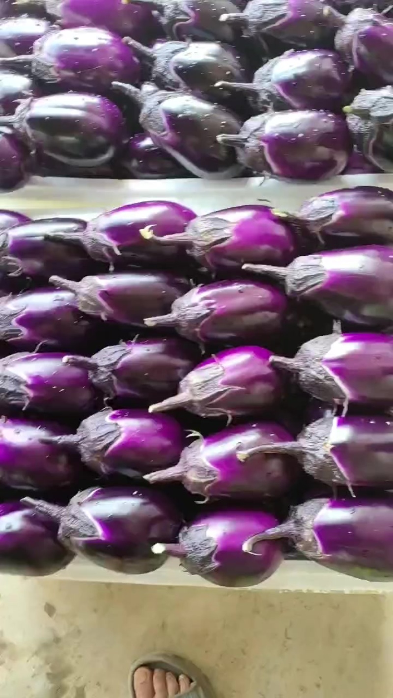 贵州烧烤茄子