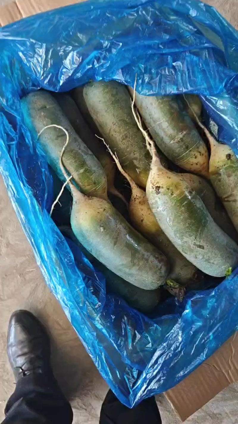 水果萝卜