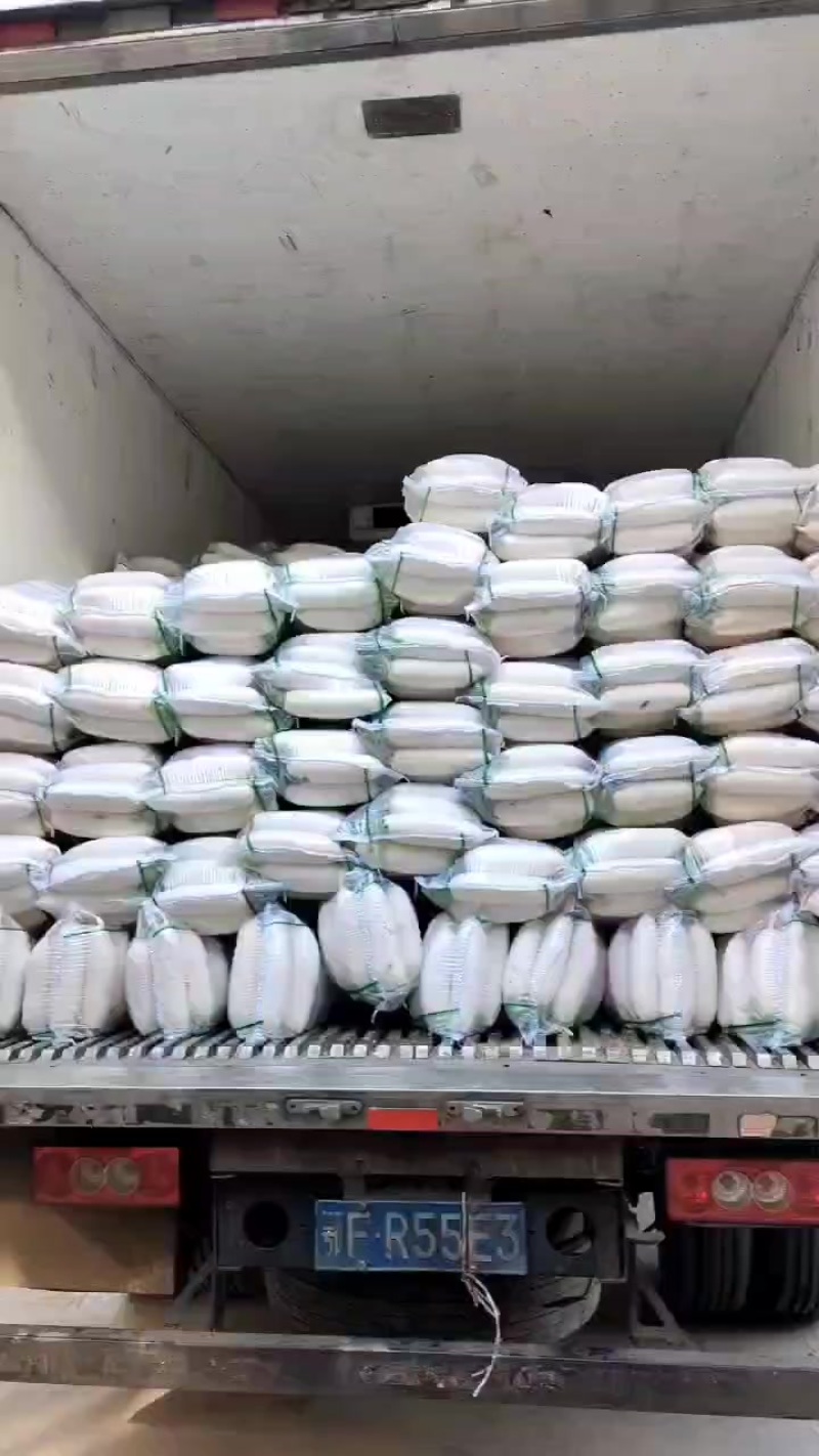精品白萝卜大量供应中