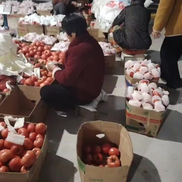 普罗旺斯西红柿