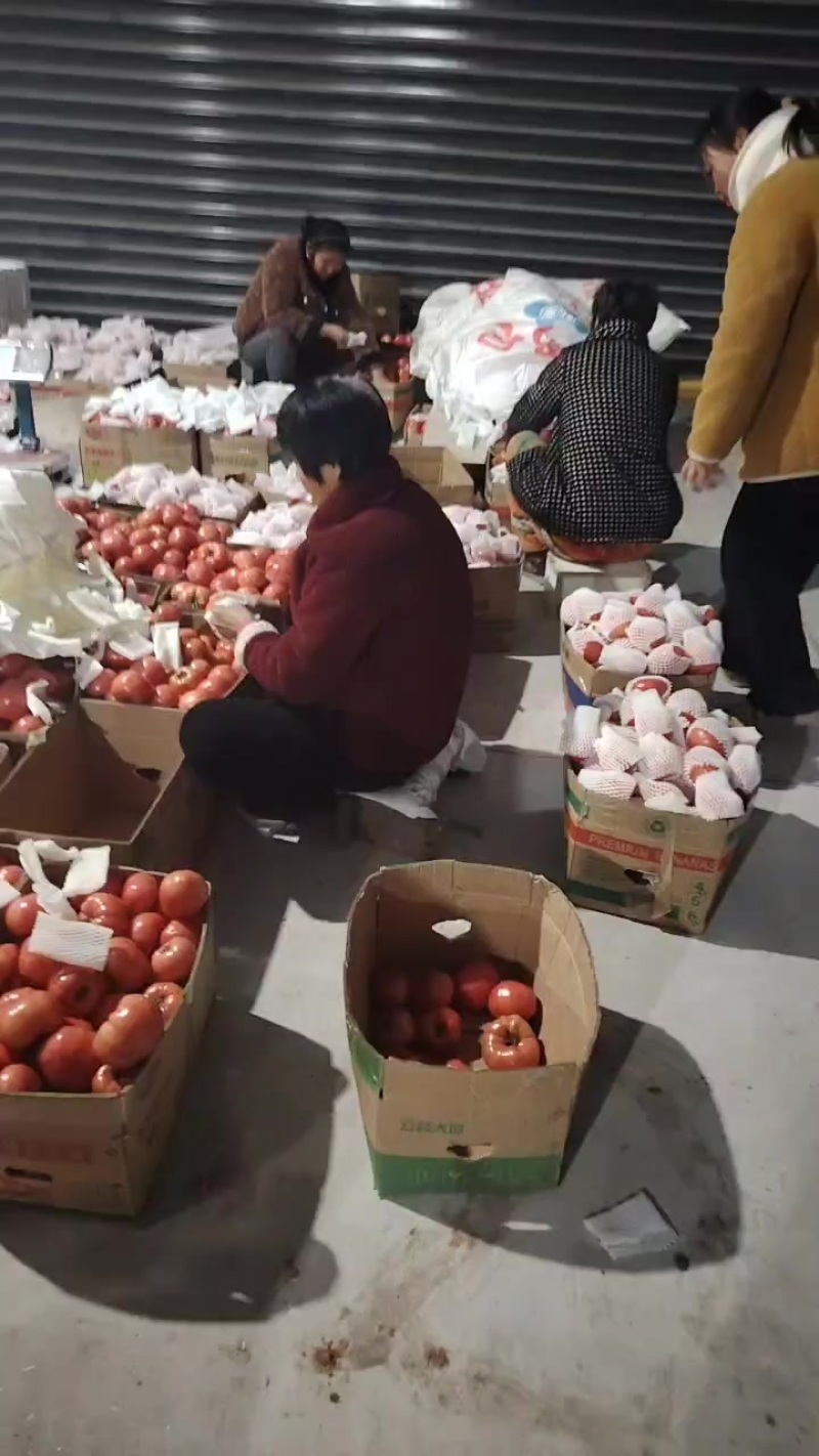 普罗旺斯西红柿