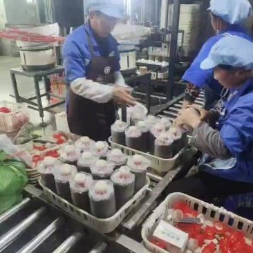 红托竹荪菌种