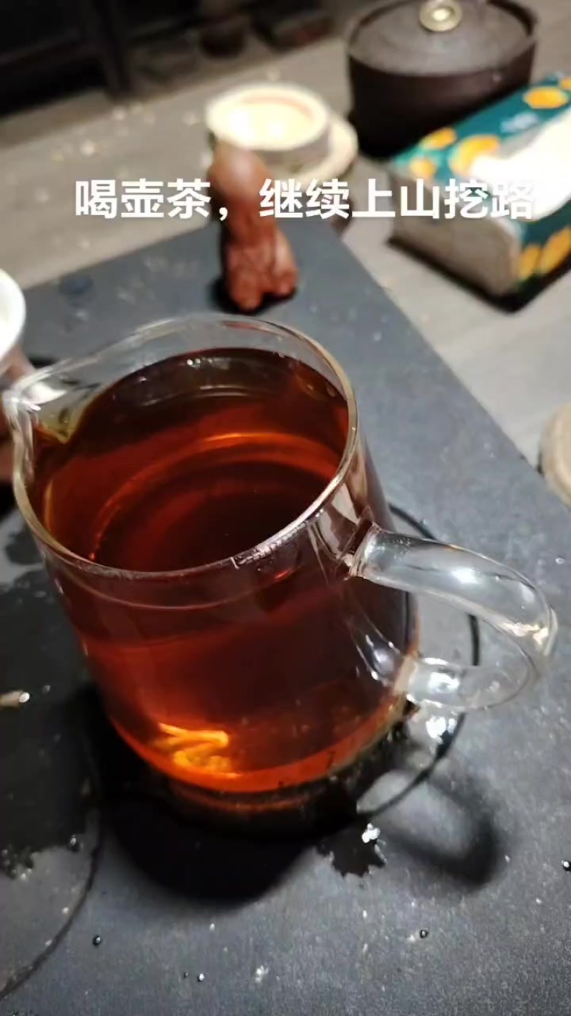 玩家级安化山头茶品