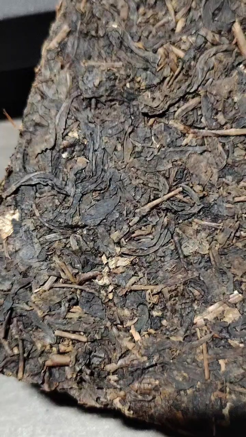 玩家级安化山头茶品