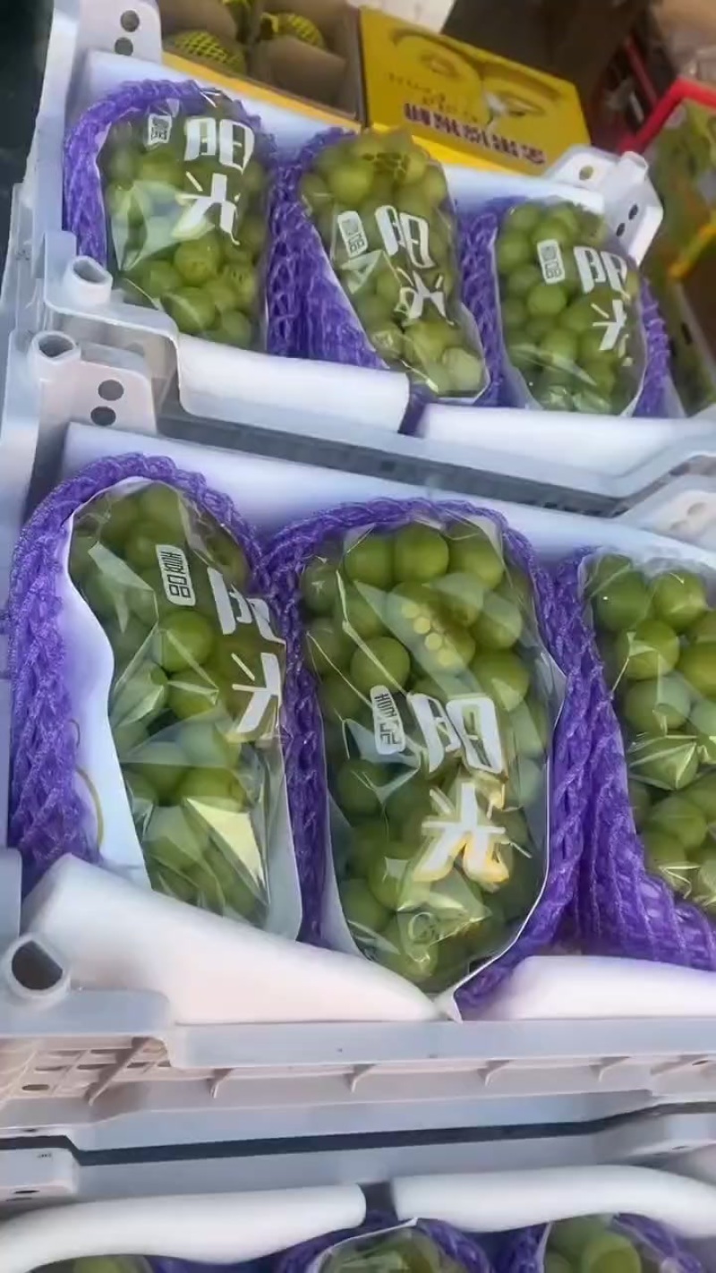 精品晴王
