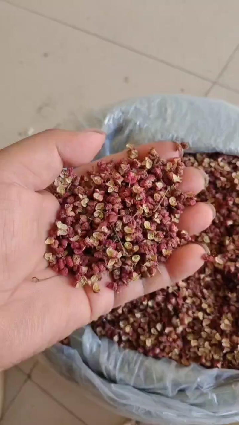 本人种的花椒，现在需要一批，高淡姓水容肥，有货原联系