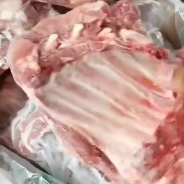 多肉去颈前排最新日期！现场实拍！