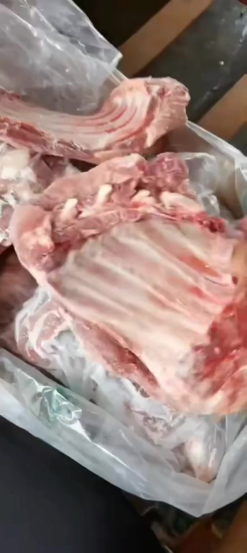 多肉去颈前排最新日期！现场实拍！