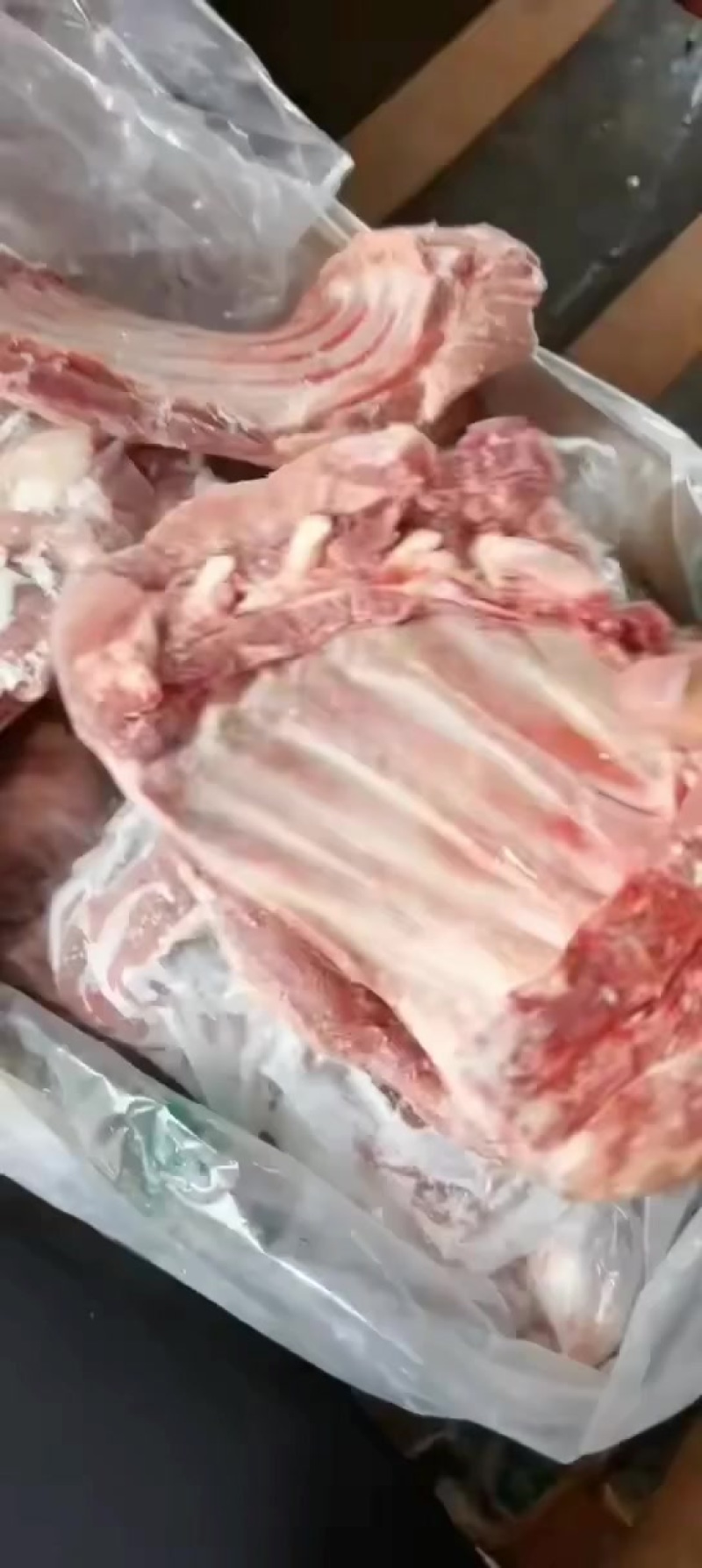 多肉去颈前排最新日期！现场实拍！