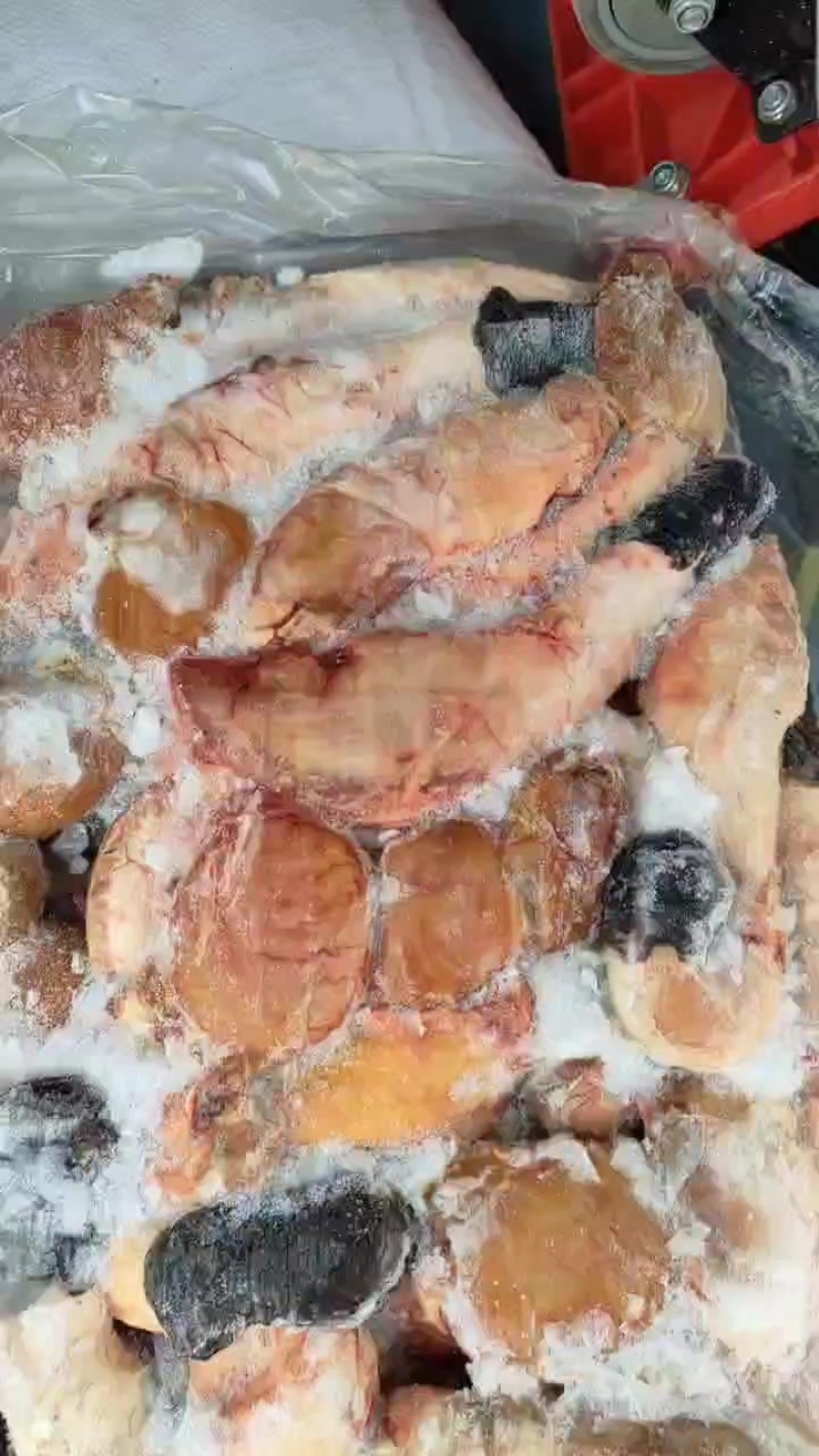 驴鞭