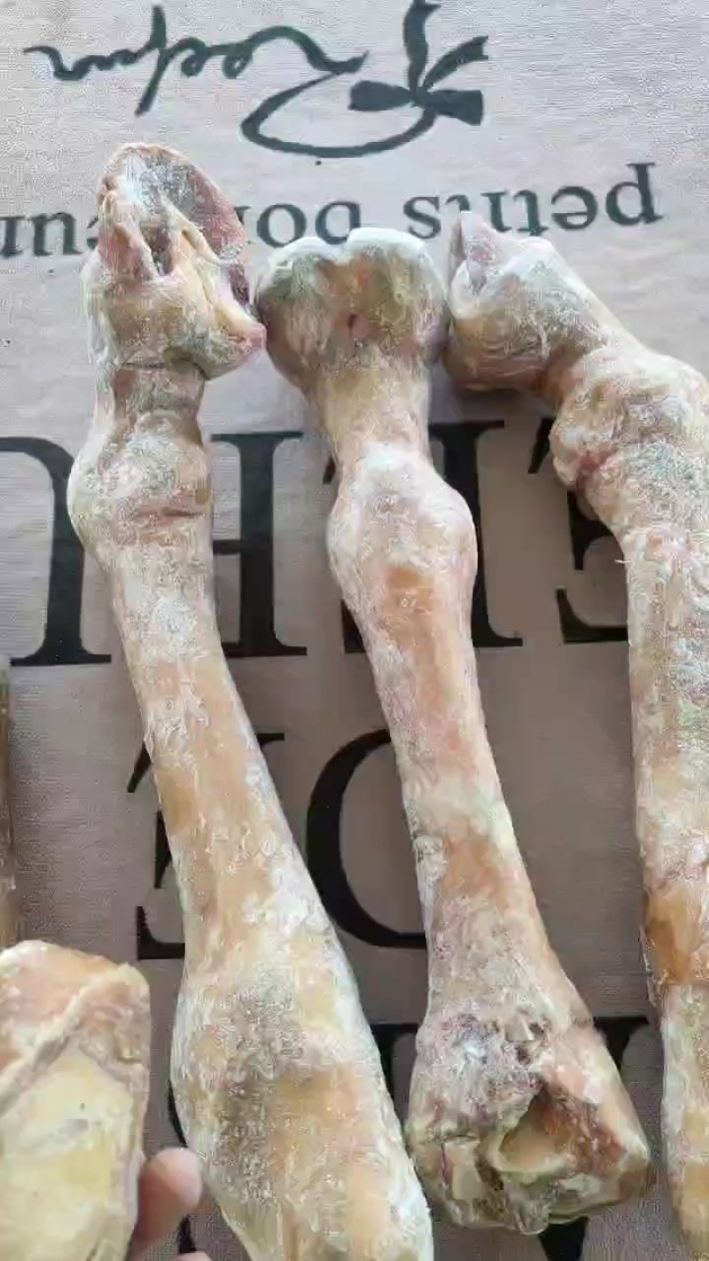 长蹄子