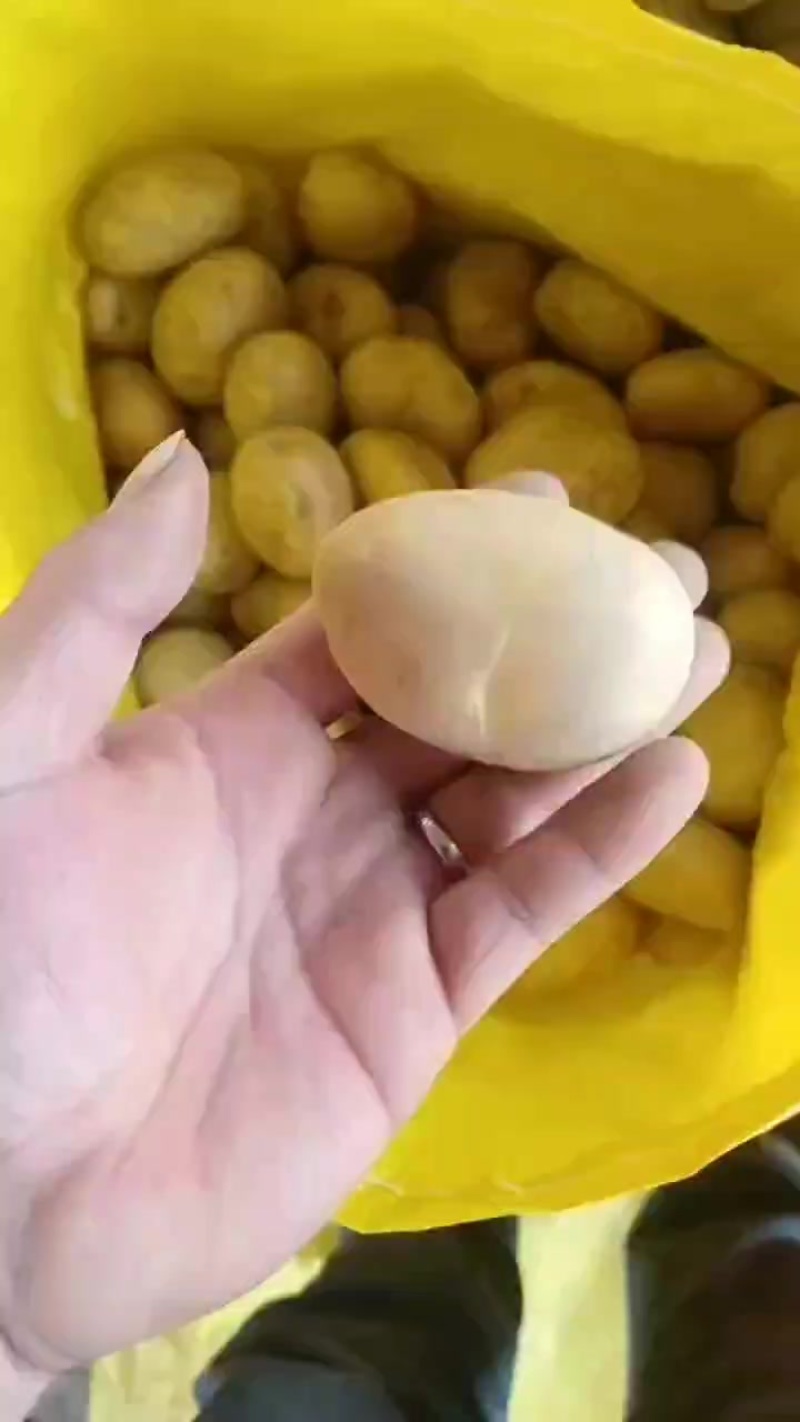 云南新土豆发货全国各地