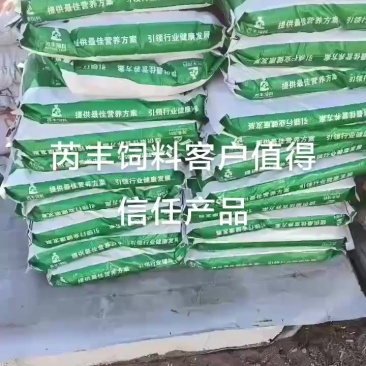 饲料