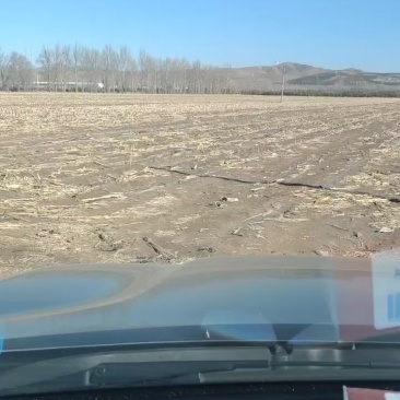 土地出租3000亩适合种植任何农作物有优惠政策