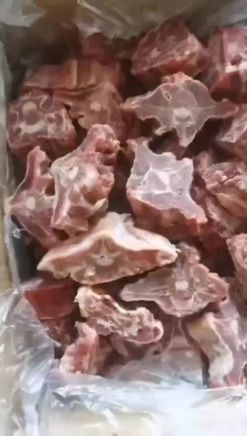 满肉羊蝎子