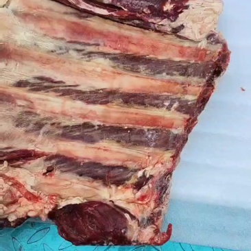 牛肋排到货，带肉超多腾惠更多客户的选择