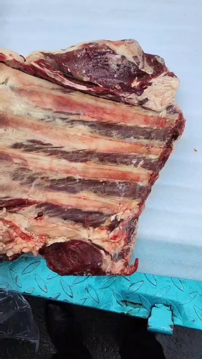 牛肋排到货，带肉超多腾惠更多客户的选择