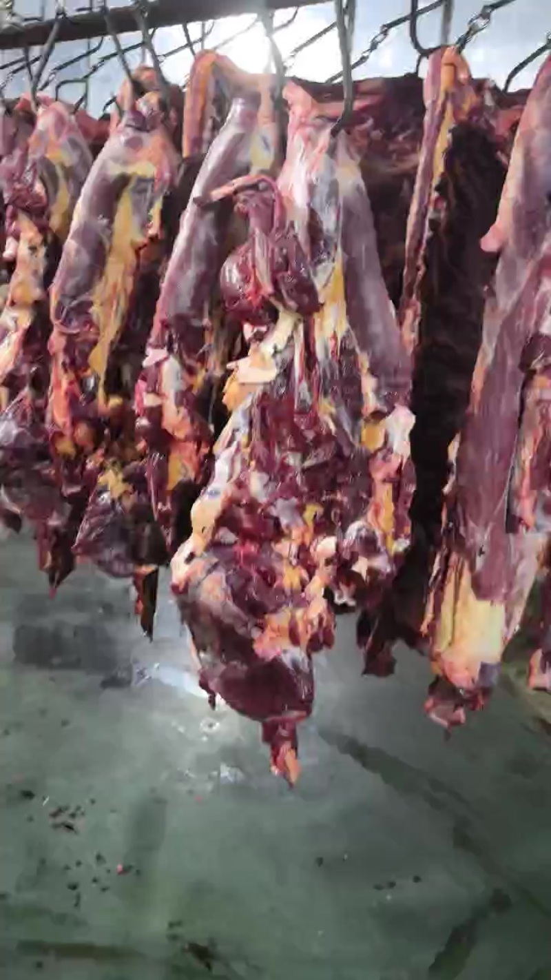 精品鲜牛肉，承接深加工，定制包装