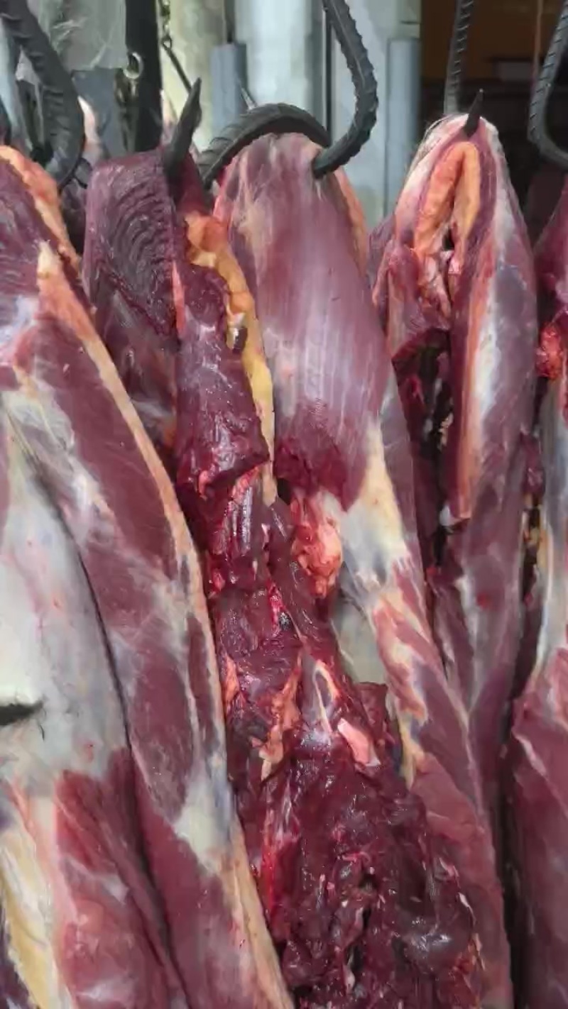 精品鲜牛肉，承接深加工，定制包装