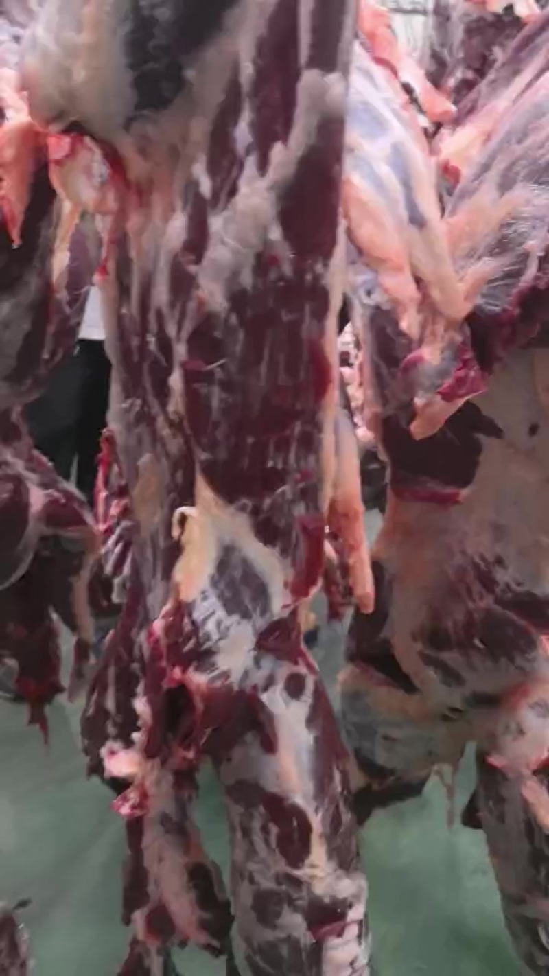 精品鲜牛肉，承接深加工，定制包装