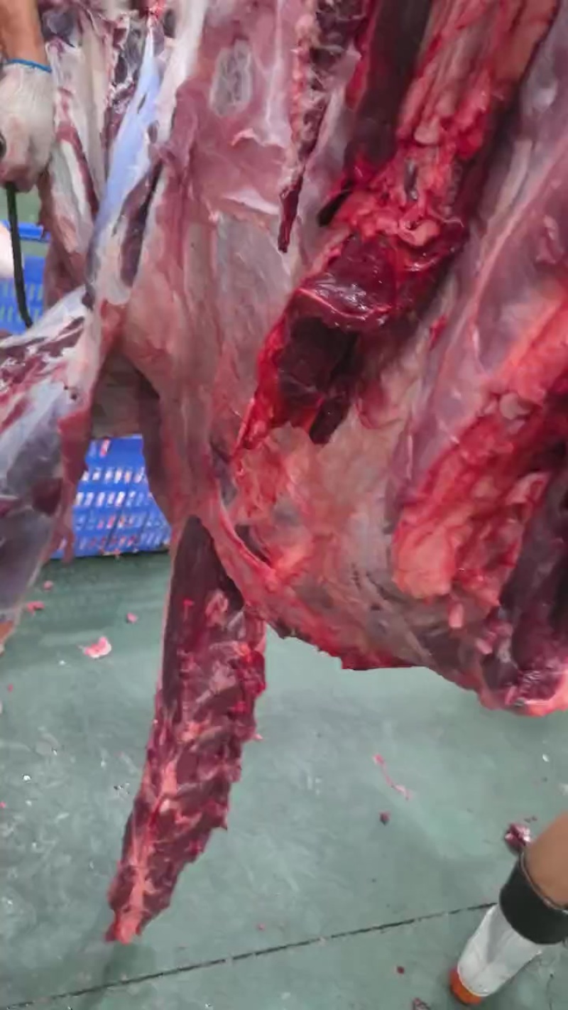 精品鲜牛肉，承接深加工，定制包装