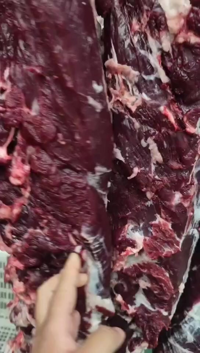 精品鲜牛肉，承接深加工，定制包装