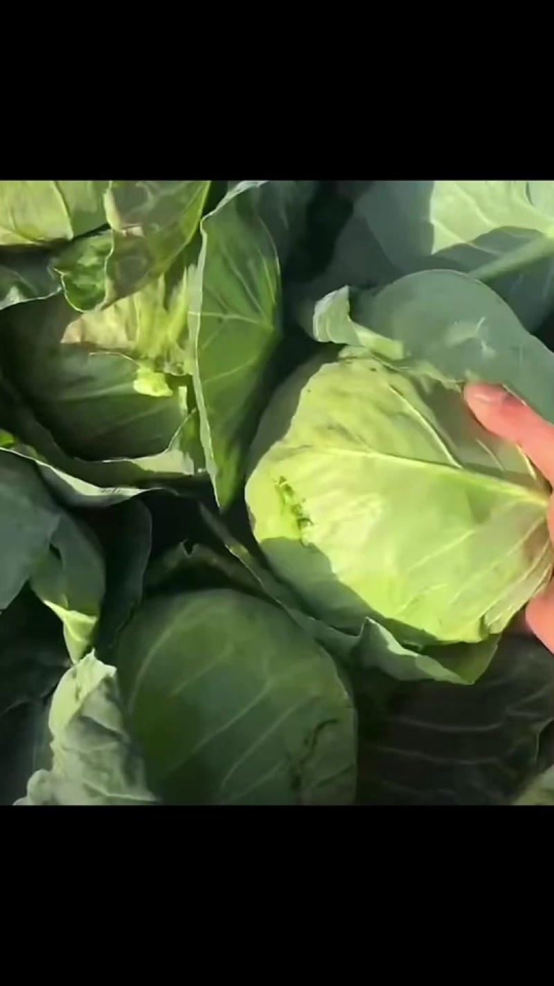 精品货