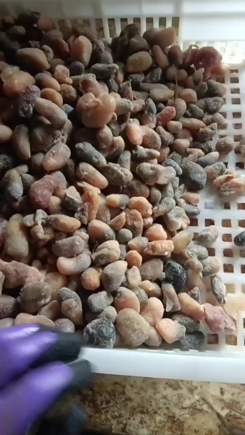 花腰，鸡腰