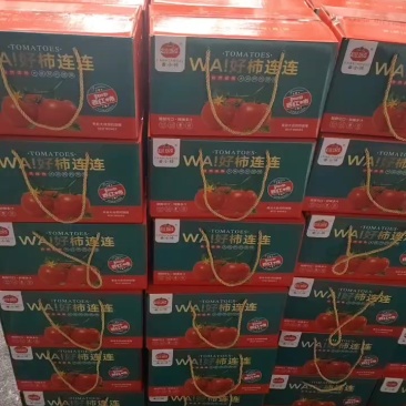 普罗旺斯西红柿草莓西红柿