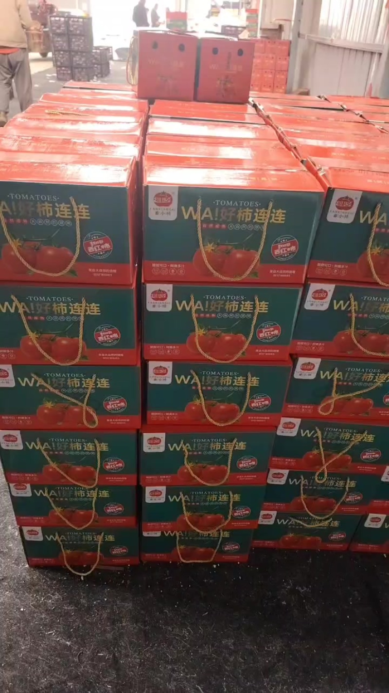 普罗旺斯西红柿草莓西红柿