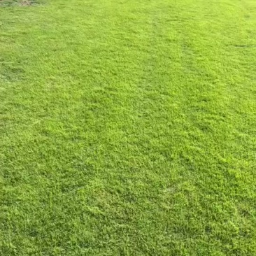 马尼拉