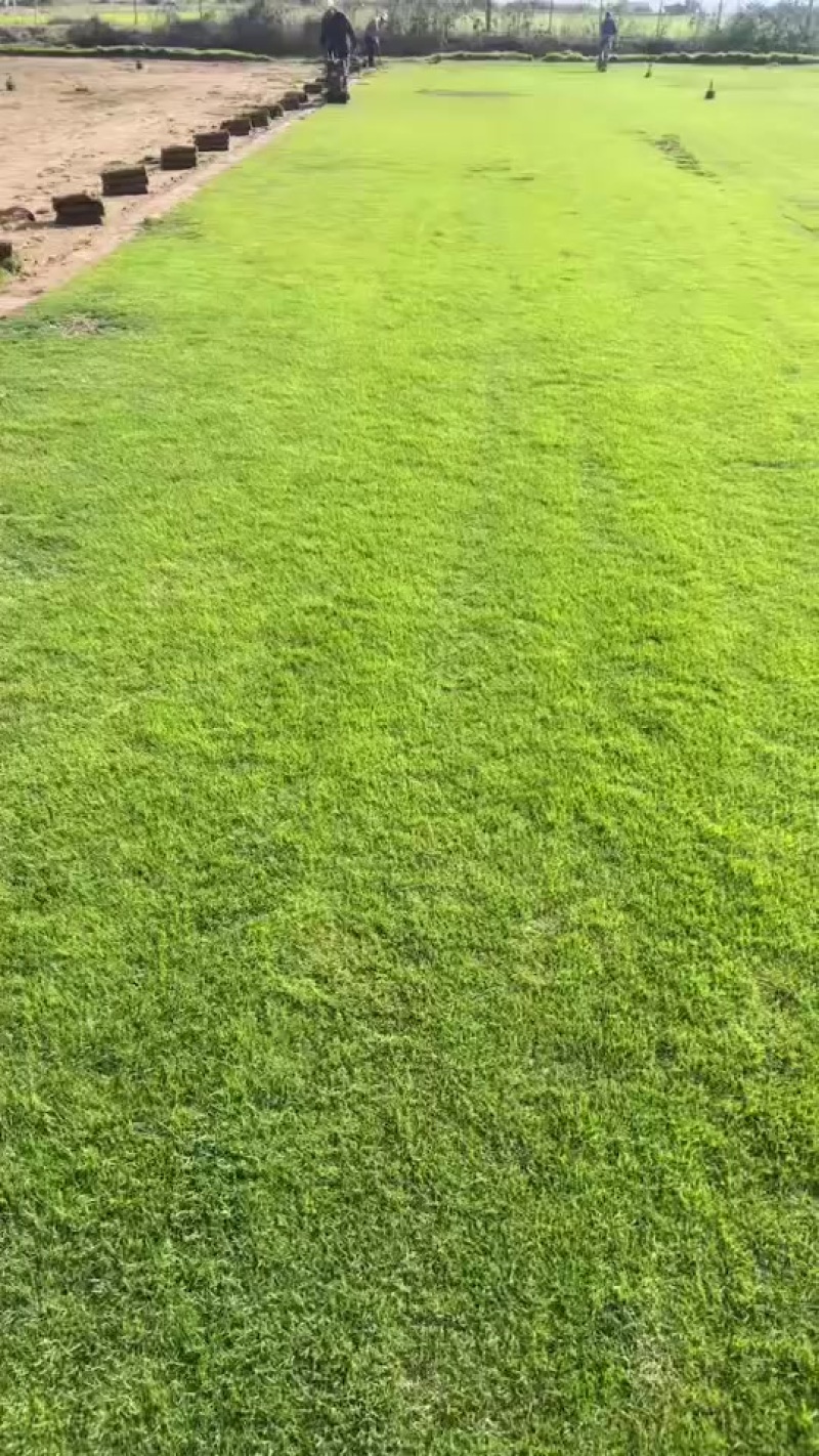 马尼拉