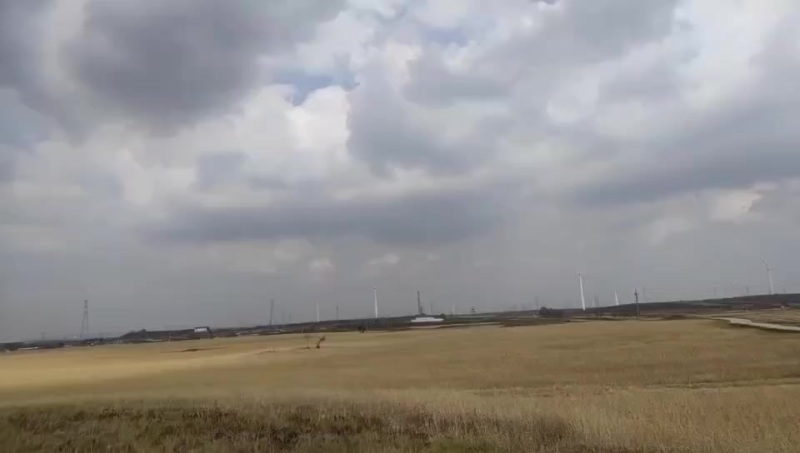 出租水浇地旱地