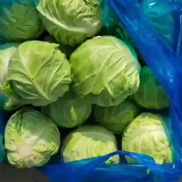 这个时候的质量**杠杠的，漂亮的想咬一口